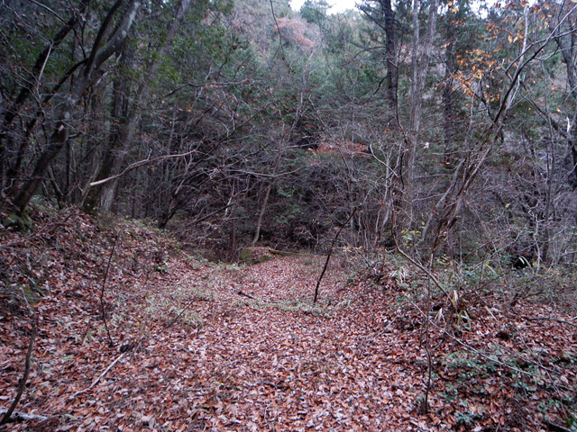 �ؑ]�X�ѓS���`����,�ѓS,�p����,�O�a�c�я�