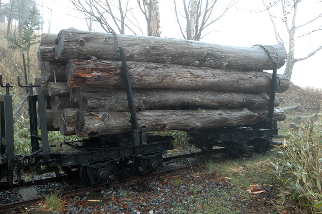 ���R�X�ѓS��,�ѓS,�^�ޑ��,�ۑ���,����т�����,�^�މݎ�