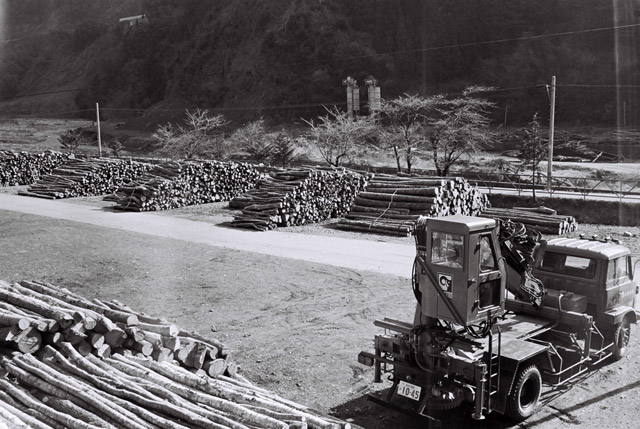 ���R�X�ѓS��,�ѓS,�p����,���R���1������,�}��,�؋�