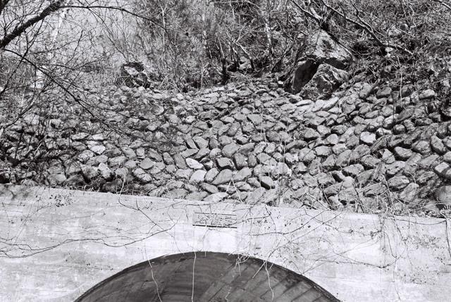 ���R�X�ѓS��,�ѓS,�p����,�M�a�ыƐ�p��,詓�,�g���l��