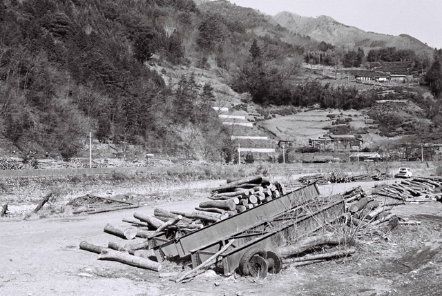 ���R�X�ѓS��,�ѓS,�p����,���R���1������,�}��,�؋�