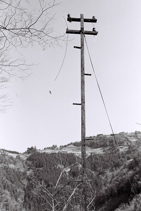 ���R�X�ѓS��,�ѓS,�p����,�O����,1KM,�ʐM��