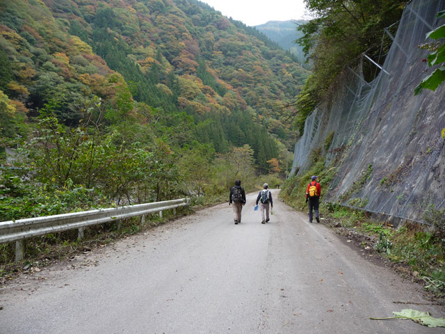 �ѓc�c�я�,���R�X�ѓS��,�ѓS,�p����,���R��