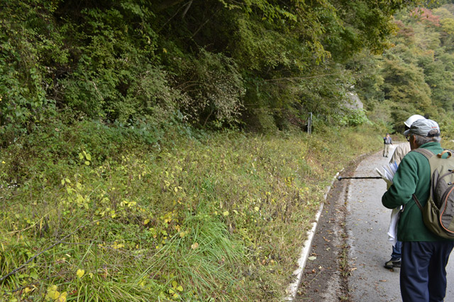 �ѓc�c�я�,���R�X�ѓS��,�ѓS,�p����,���R��