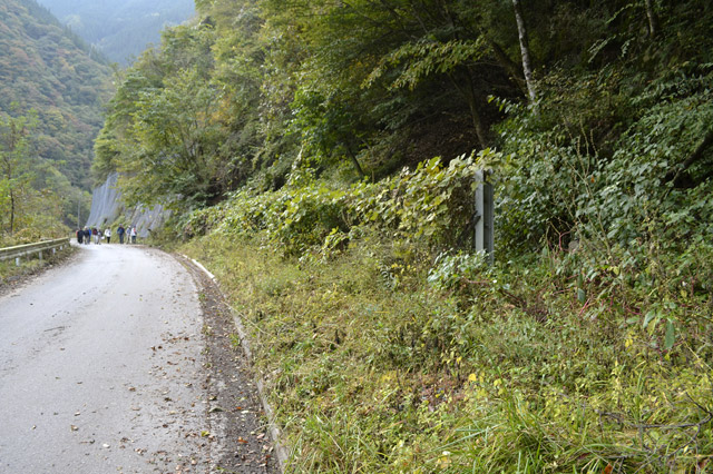 �ѓc�c�я�,���R�X�ѓS��,�ѓS,�p����,���R��