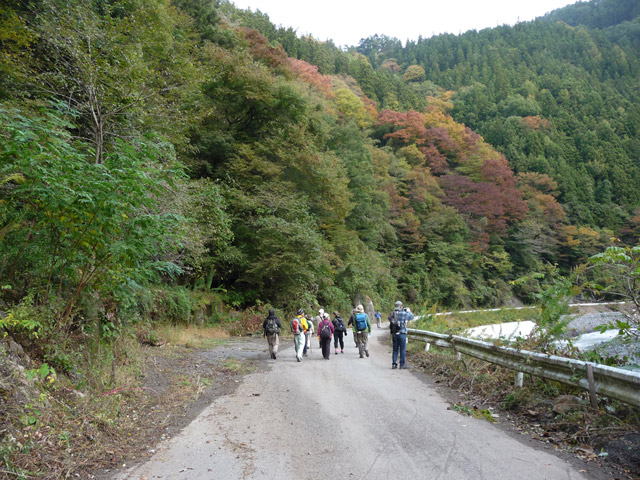 ���R�X�ѓS��,�ѓS,�p����,���R��