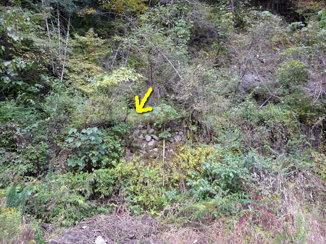 ���R�X�ѓS��,�ѓS,�p����,���R��