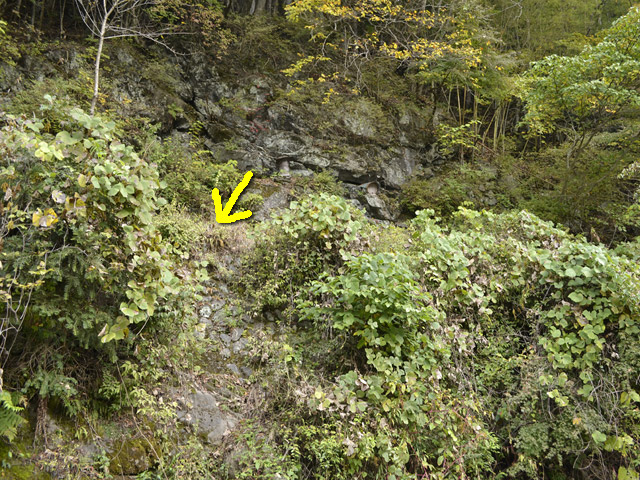 ���R�X�ѓS��,�ѓS,�p����,�ѓc�c�я�,����c�ы�