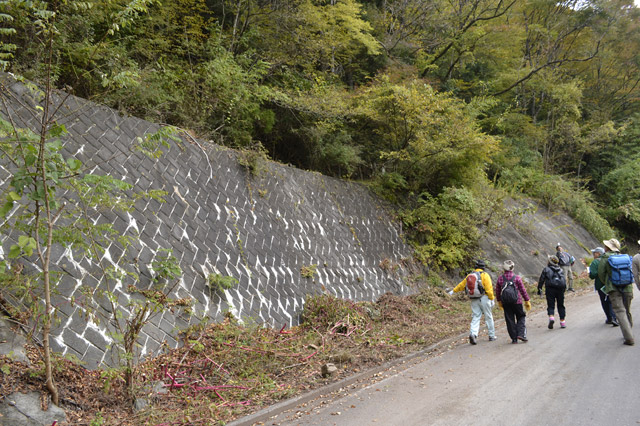 ���R�X�ѓS��,�ѓS,�p����,�ѓc�c�я�,����c�ы�