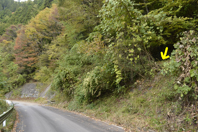 ���R�X�ѓS��,�ѓS,�p����,�ѓc�c�я�,����c�ы�