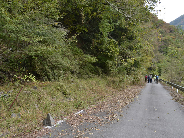 ���R�X�ѓS��,�ѓS,�p����,�O����,����