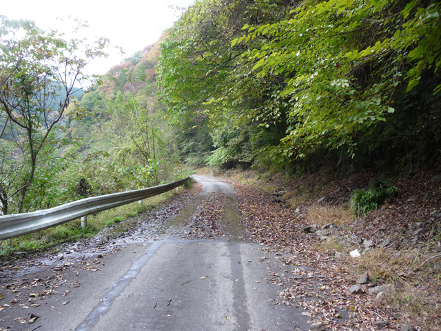 ���R�X�ѓS��,�ѓS,�p����,�O����,����