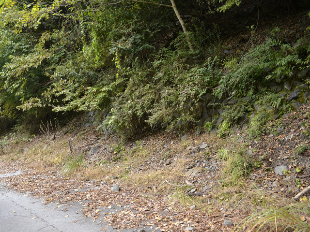 ���R�X�ѓS��,�ѓS,�p����,�O����,����,�Ί_