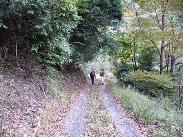 ���R�X�ѓS��,�ѓS,�p����,�O����,����