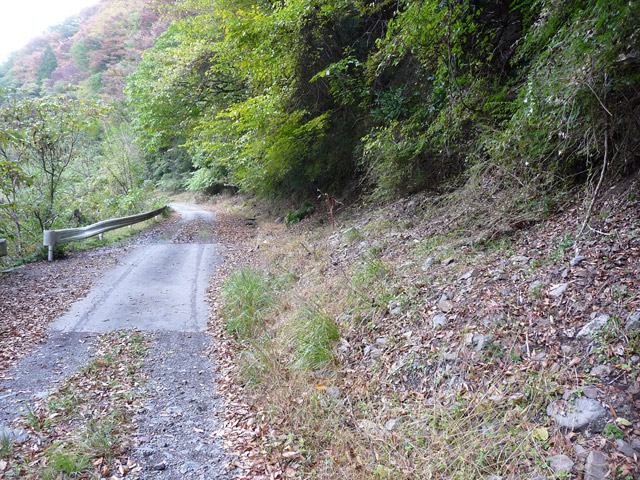 ���R�X�ѓS��,�ѓS,�p����,�O����,����