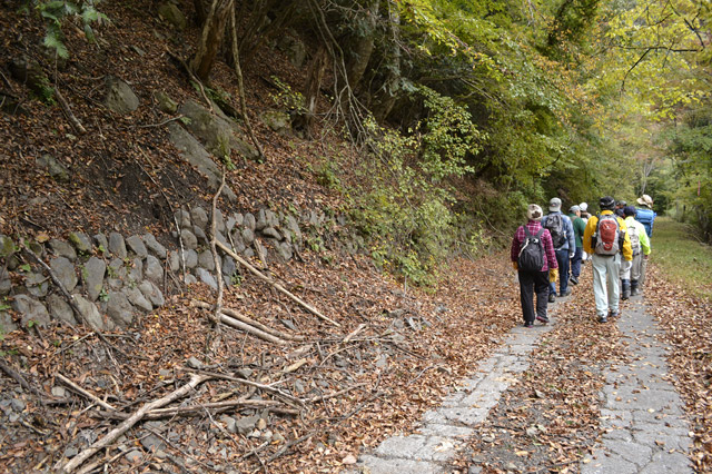 ���R�X�ѓS��,�ѓS,�p����,������ԏ�