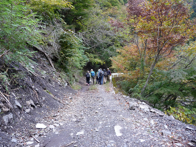 ���R�X�ѓS��,�ѓS,�p����,���R��,�E�H�[�L���O