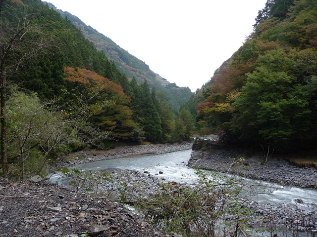 ���R�X�ѓS��,�ѓS,�p����,���R��,�E�H�[�L���O