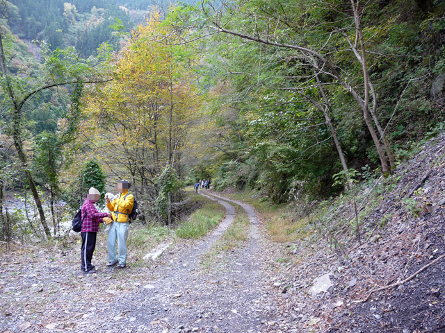 ���R�X�ѓS��,�ѓS,�p����,���R��,�E�H�[�L���O