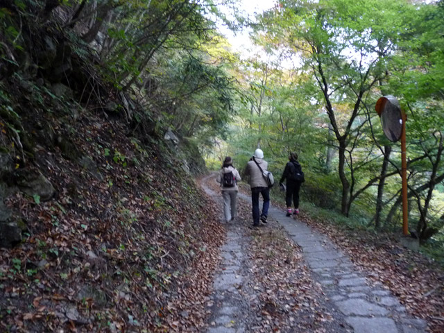 ���R�X�ѓS��,�ѓS,�p����,���R��,�E�H�[�L���O