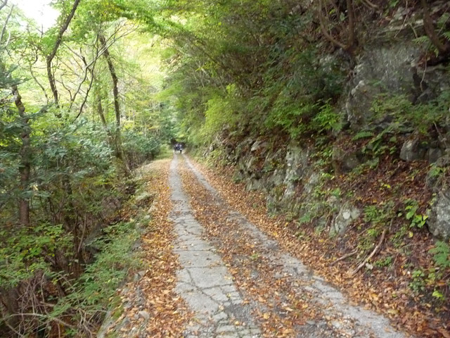 ���R�X�ѓS��,�ѓS,�p����,���R��,�E�H�[�L���O