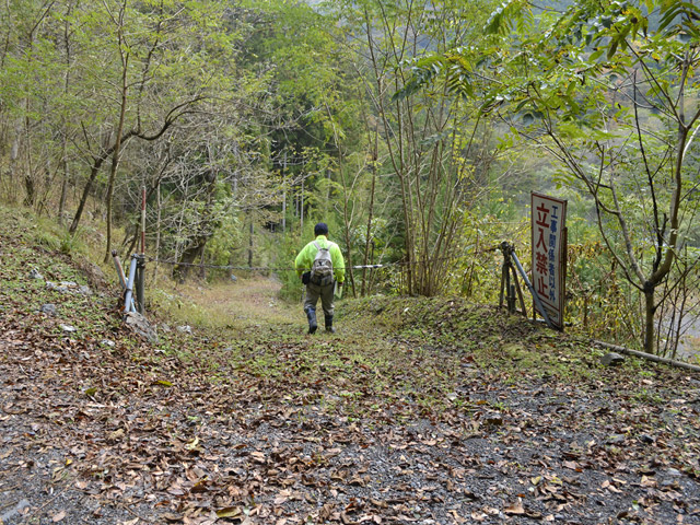 ���R�X�ѓS��,�ѓS,�p����,���R��,�E�H�[�L���O