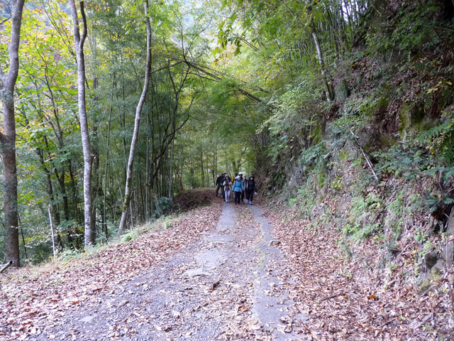 ���R�X�ѓS��,�ѓS,�p����,���R��,�E�H�[�L���O