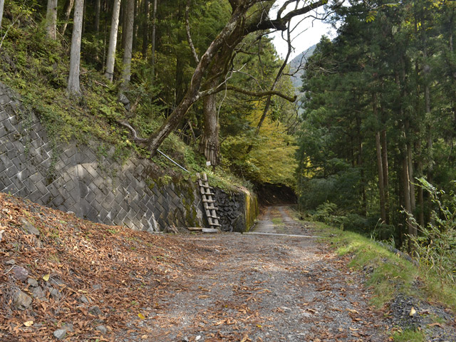 ���R�X�ѓS��,�ѓS,�p����,���R��,�E�H�[�L���O