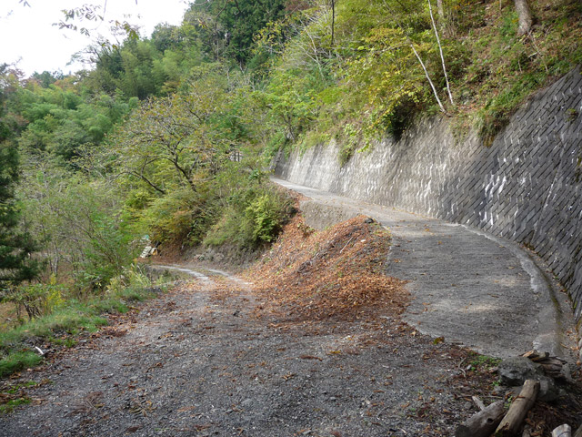 ���R�X�ѓS��,�ѓS,�p����,���R��,�E�H�[�L���O