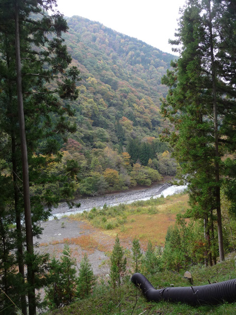 ���R�X�ѓS��,�ѓS,�p����,���R��,�E�H�[�L���O