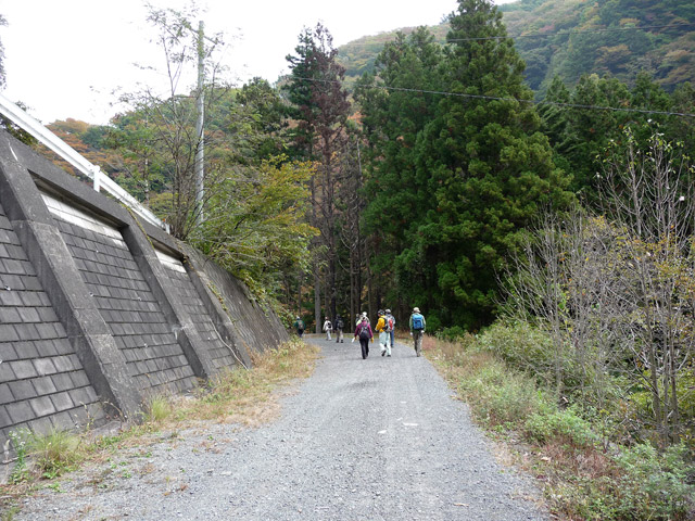 ���R�X�ѓS��,�ѓS,�p����,���R��,�E�H�[�L���O,��ԏ�