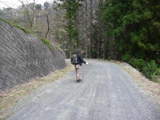 ���R�X�ѓS��,�ѓS,�p����,���R��,�Ȑ�,���R��