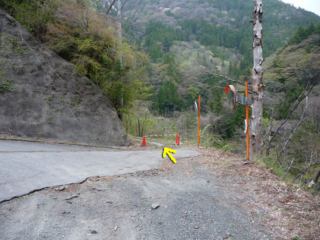 ���R�X�ѓS��,�ѓS,�p����,���R��,�ѓc�c�я�,���R��