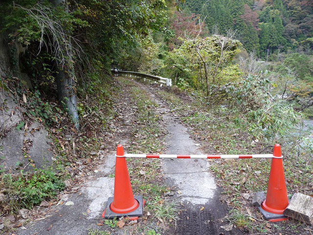 ���R�X�ѓS��,�ѓS,�p����,���R��,�J���[�R�[��,���[�h�R�[��