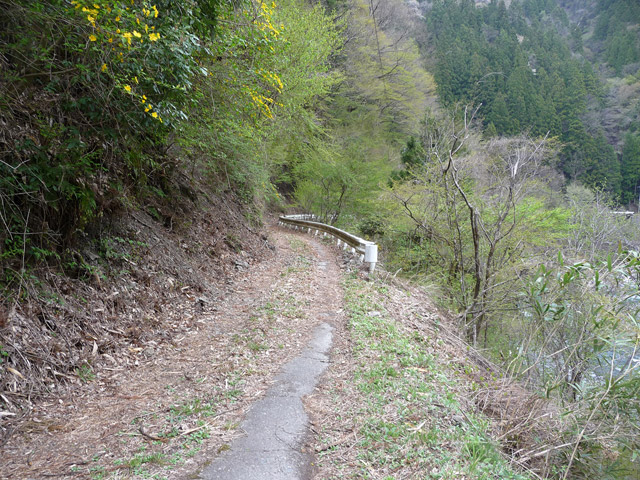 ���R�X�ѓS��,�ѓS,�p����,�O����,���R��,�ѓc�c�я�