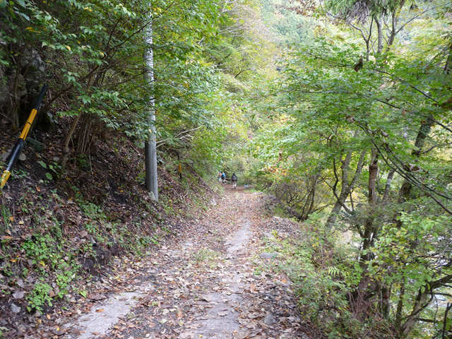 ���R�X�ѓS��,�ѓS,�p����,�O����,���R��,�ѓc�c�я�