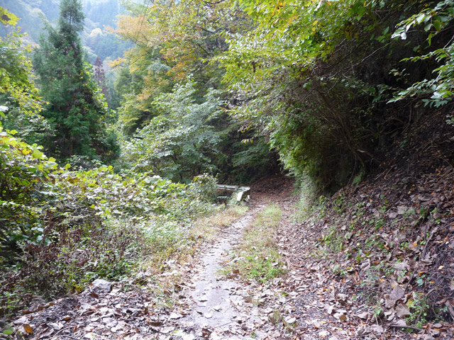 ���R�X�ѓS��,�ѓS,�p����,�O����,���R��,�ѓc�c�я�