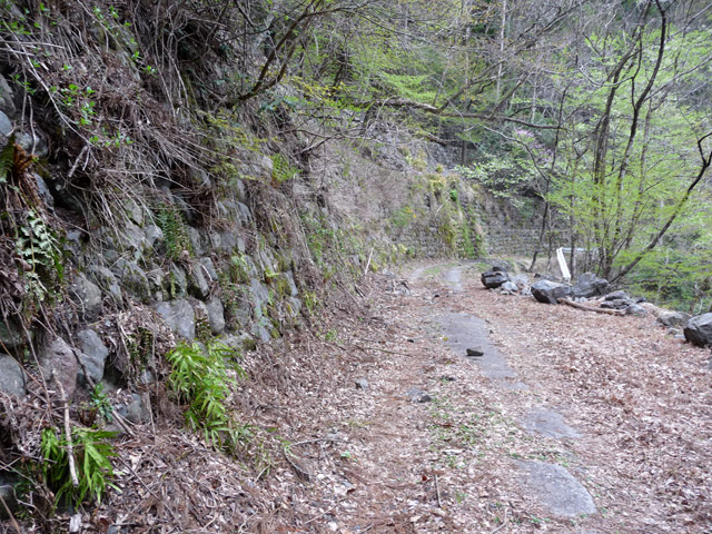 ���R�X�ѓS��,�ѓS,�p����,�O����,�i��,�Ί_