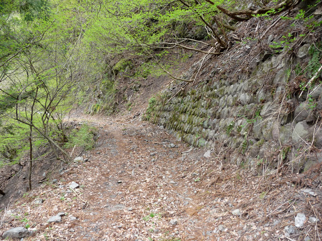 ���R�X�ѓS��,�ѓS,�p����,�O����,�i��,�Ί_