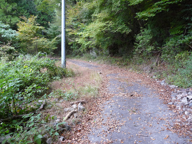 ���R�X�ѓS��,�ѓS,�p����,���R��,�ѓc�c�я�,�ѓ�,�O����