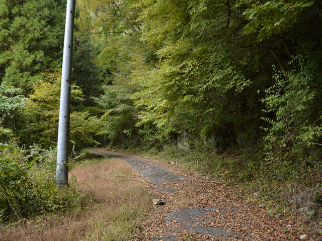 ���R�X�ѓS��,�ѓS,�p����,���R��,�ѓc�c�я�,�ѓ�,�O����