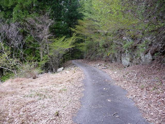 ���R�X�ѓS��,�ѓS,�p����,���R��,�ѓc�c�я�,�ѓ�,�O����