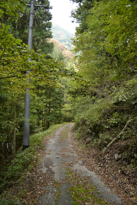 ���R�X�ѓS��,�ѓS,�p����,���R��,�ѓc�c�я�,�ѓ�,�؍މ^���O��