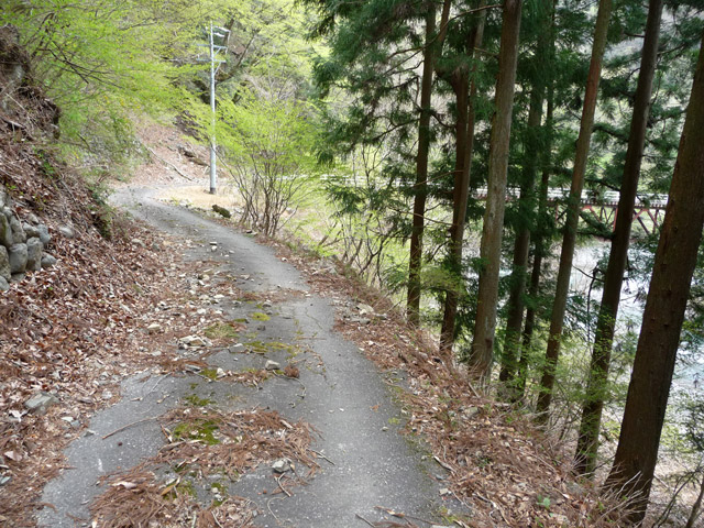 ���R�X�ѓS��,�ѓS,�p����,���R��,�ѓc�c�я�,�ѓ�,�؍މ^���O��