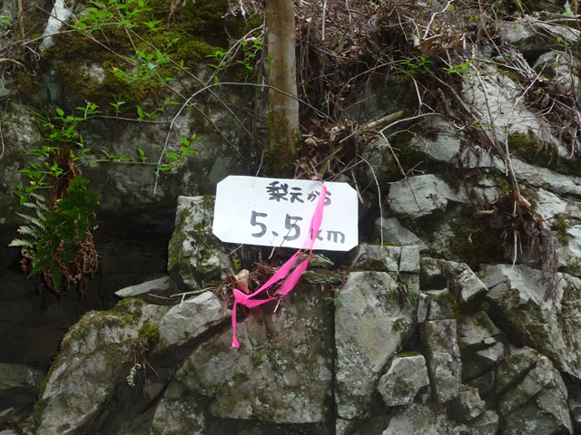 ���R�X�ѓS��,�ѓS,�p����,���R��,�ѓc�c�я�,�ѓ�,����