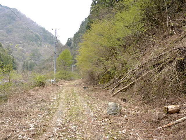 ���R�X�ѓS��,�ѓS,�p����,���R��,����,�؍މ^���O��,�M�a�ы�