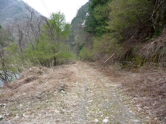 ���R�X�ѓS��,�ѓS,�p����,�ѓ�,�ѓc�c�я�,�؍މ^���O��,���R��