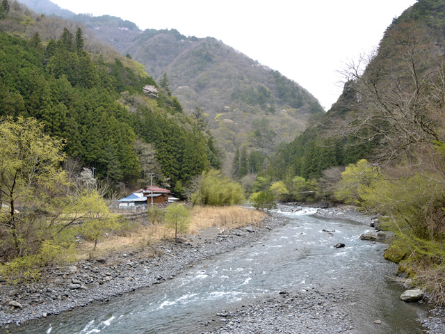 ���R�X�ѓS��,�ѓS,�p����,�`�̓���,���R��,�V���쐅�n,���R��