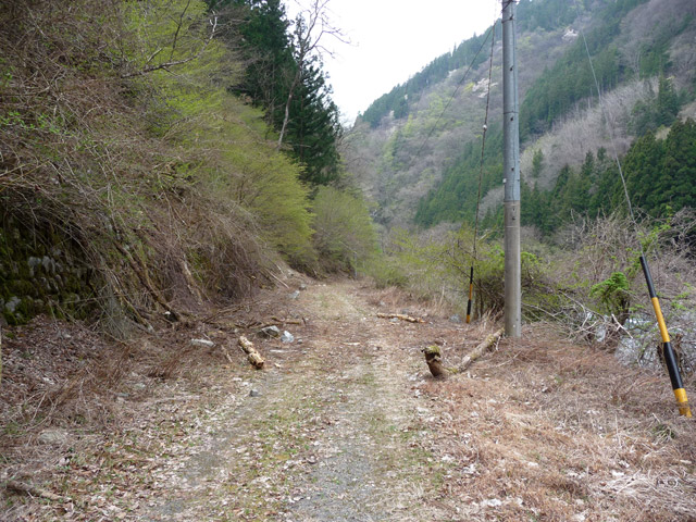 ���R�X�ѓS��,�ѓS,�p����,�M�a�ы�,�O����,�ѓ�,����