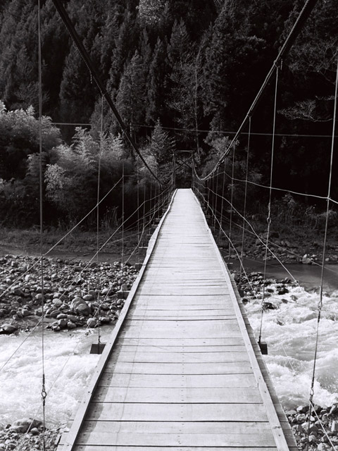 ���R�X�ѓS��,�ѓS,�p����,���R��,�݂苴,���`�̓���,��������,�B�e